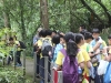 IMG_7850 (800x533)